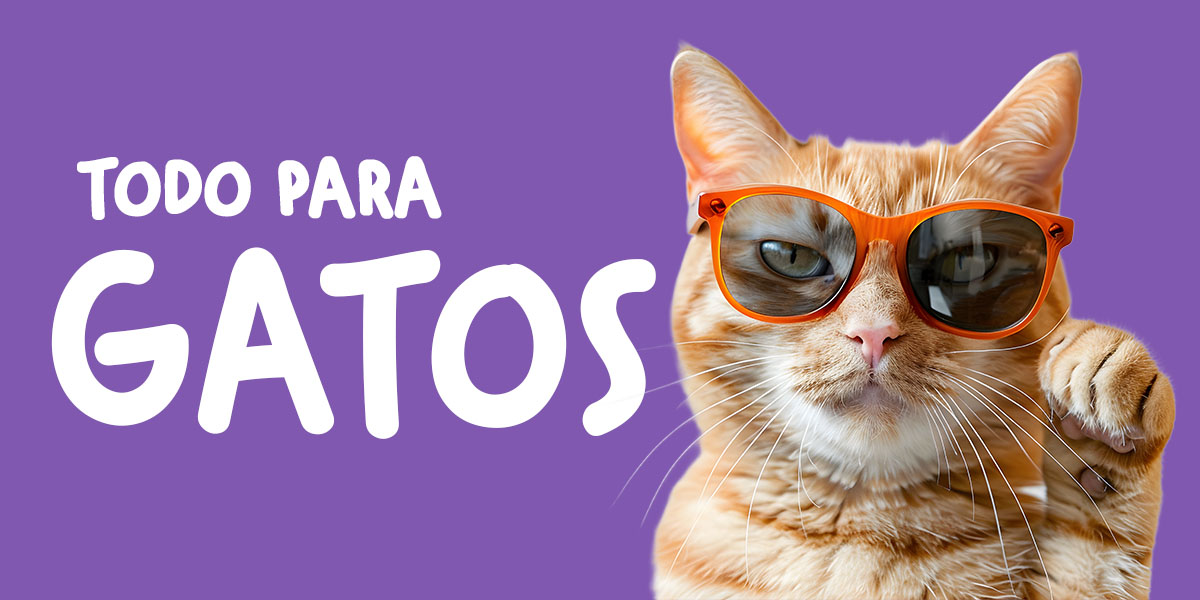 gatos-categoria