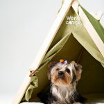 Tienda para Mascotas