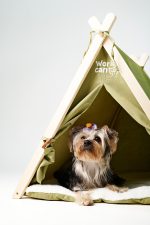 Tienda para Mascotas