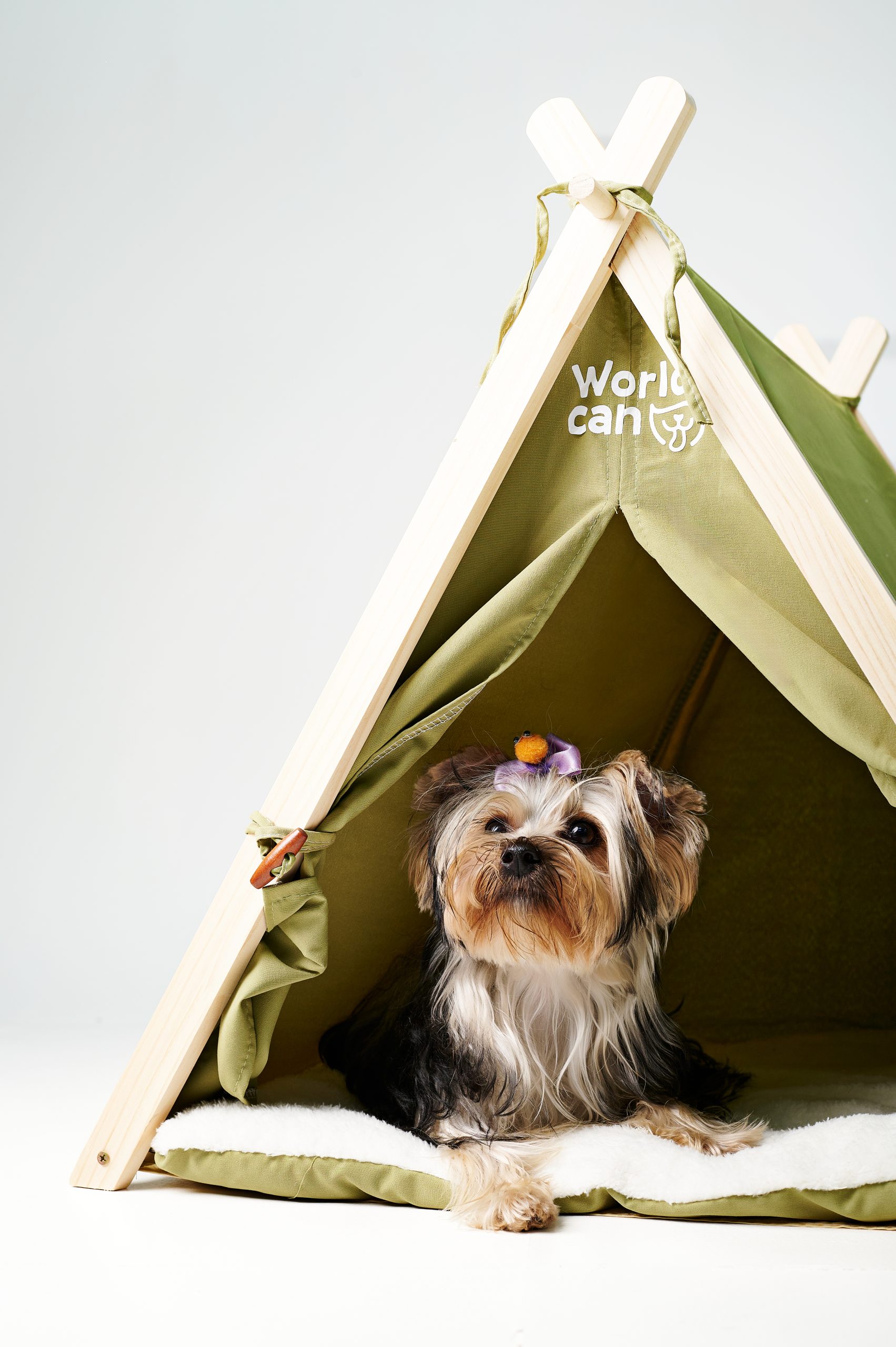 9217 187 Tienda para Mascotas - Imagen 1
