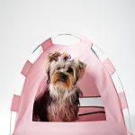 Carpa para Mascotas