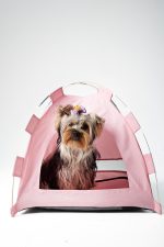 Carpa para Mascotas