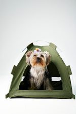 Carpa para Mascotas - Imagen 2