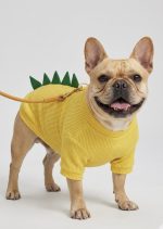 Franela Dinosaurio - Imagen 4